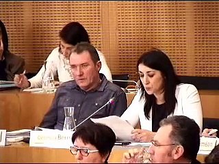 Extrait 1 - Intervention de Cinderella Bernard au Conseil Départemental