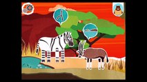 Mr. Bear - Safari (By Banana Apps Kids) - iOS / Android - Gameplay Video
