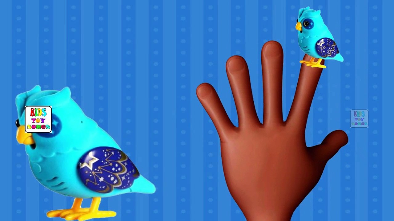 Little Live Pets Talking Owl Kids Toys Finger Family Children Cartoon Animation Nursery Rh