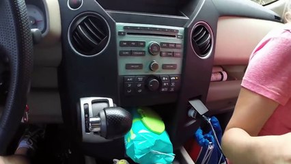 Watch Camel invade in car -userhubb exclusive