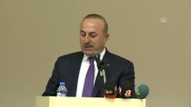 Çavuşoğlu: 