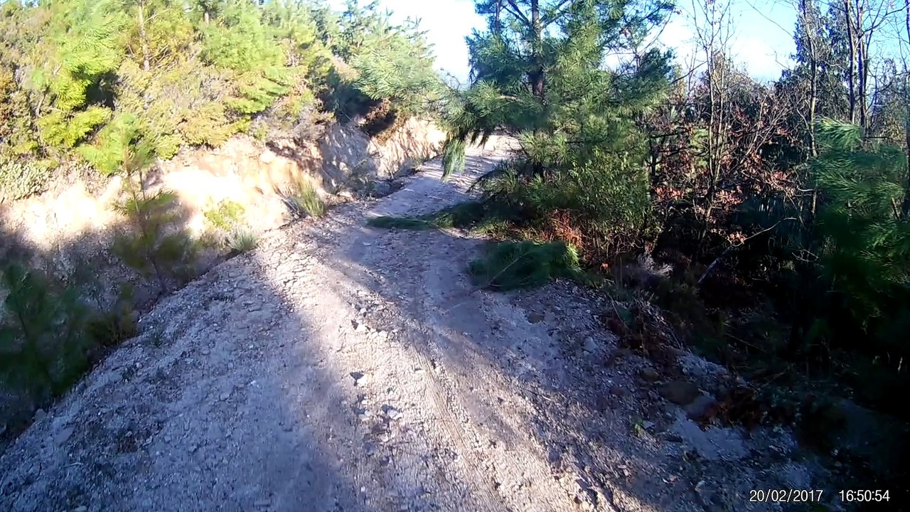 btt 20/2
