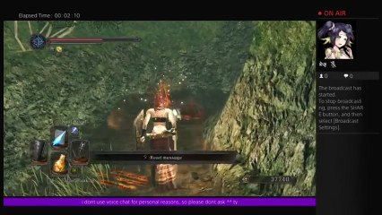 Dark Souls 2 My War Maidens Gameplay xD (50)