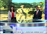 Colombia: el 1° de junio FARC habrán concretado la dejación de armas