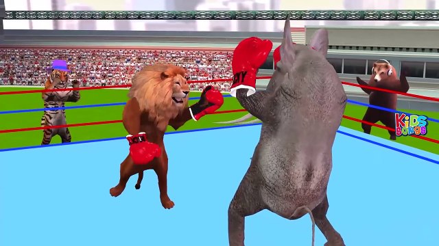 Dinosaurs Vs King Kong Fight | Colors Animals Lion Gorilla Elephant Action Short Movie For