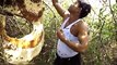 Crazy:  Indian man faces bees without protection!! || Louco: homem indiano encara abelhas sem proteção!!