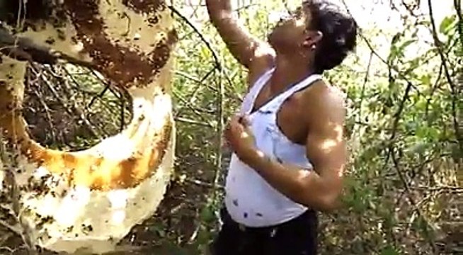 Crazy: Indian man faces bees without protection!! || Louco: homem indiano encara abelhas sem proteção!!