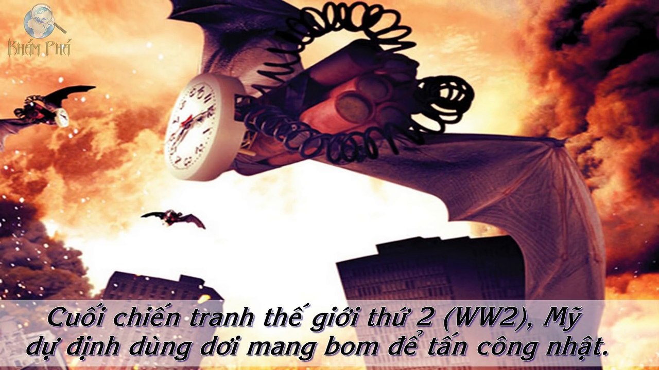 Top 5 động vật bị vũ khí hóa