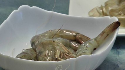 Report TV - Rreze Dielli,  Gatimi "Vita 99" 21 Tetor Pj.1