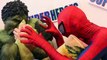Spiderman Cooking Big Mac with Frozen Elsa & Hulk ★ Fun Superheroes Movies Superhero Prank Videos