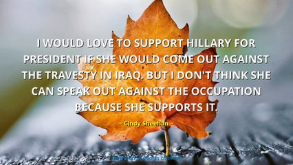 Cindy Sheehan Quotes #2