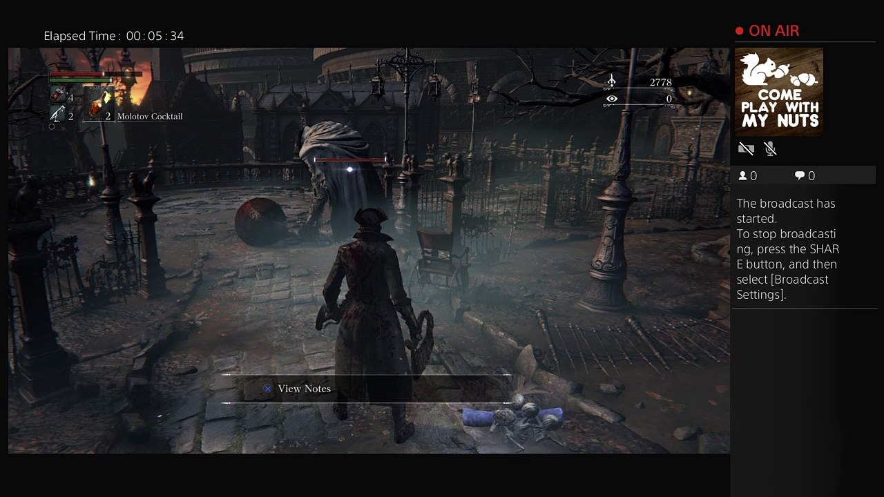 Bloodborne (28)