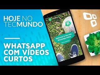 WhatsApp com vídeos curtos  - Hoje no TecMundo