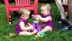 Twin Babies Fight Over Toys _ Funny Babies Compilation_HD