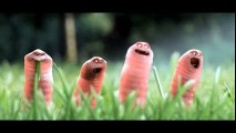 Những chú sâu vui nhộn- Phim hoạt hình hài hước dễ thương