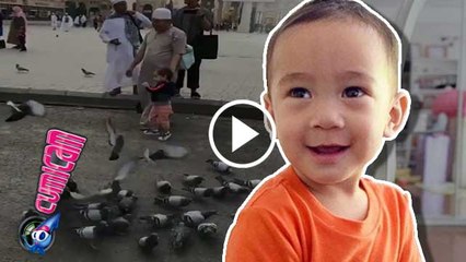 Keceriaan Rafathar di Tanah Suci - Cumicam 22 Februari 2017