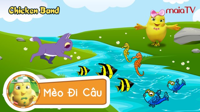 ✔ Ban Nhạc Gà Con | MÈO ĐI CÂU - Nhạc thiếu nhi vui nhộn | Chicken Band | Siêu Chip