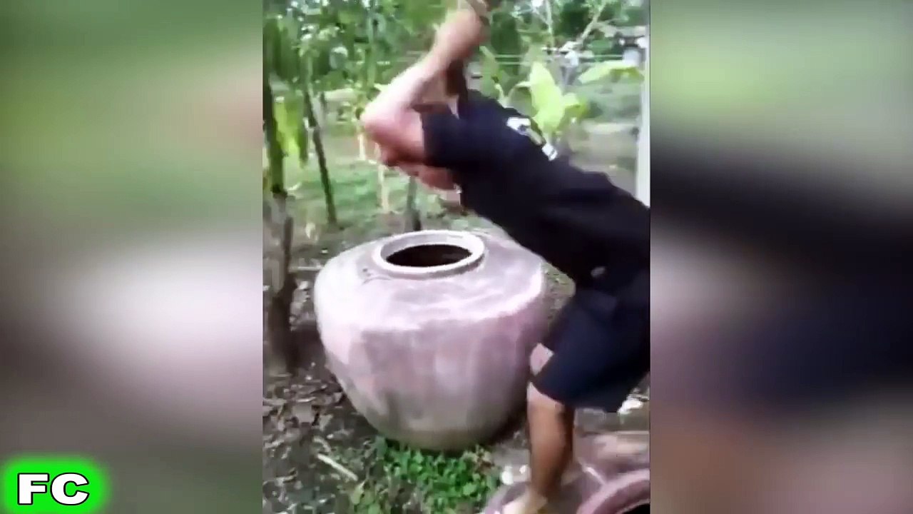 Best FAILS & Funny Videos 2017 Compilation part