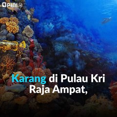 Karang raja ampat dirusak