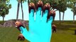 Animal Finger Family - Finger Family Song - 3D Animation Nursery Rhymes & Songs for Childr