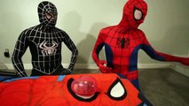 Spidergirl Pedo Broma vs Spiderman Nuevo Juguete Divertido Película de Superhéroes En la Vida Real