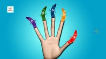 Finger Family Crayons | Nursery Rhymes And Kids Songs For Babies | Kids TV