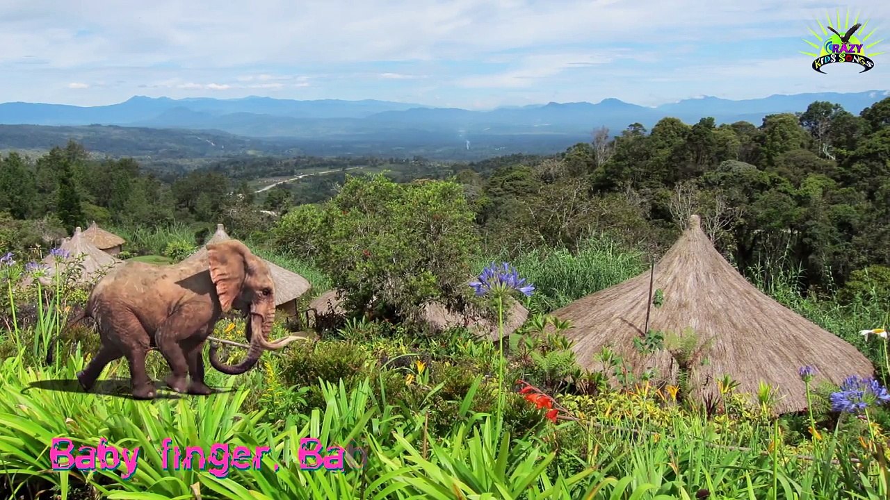 Finger Family Cartoon Animation 3D Rhymes: Tiger Elephant Cows Batman & many more Animals