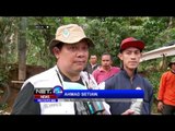 Antisipasi wabah dari lalat menjadi pehatian dinas kesehatan di Banjarnegara - NET24