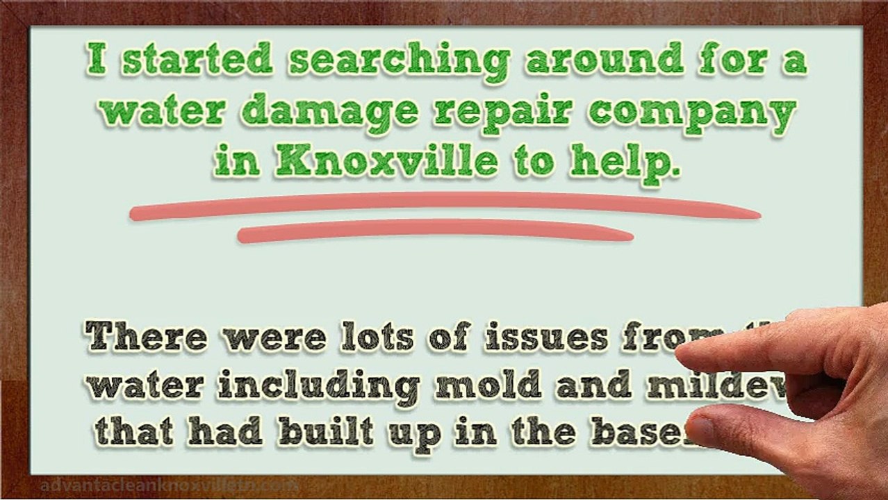 Hired A Water Damage Repair Company To Clean Up My Basement