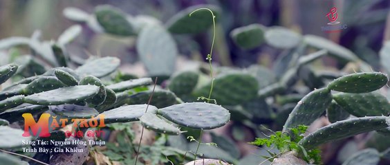 MV Mặt trời của Anh trong Phim Sứ Mệnh Trái Tim - Gia Khiêm