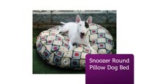 Shop Online Snoozer Pillow Beds : Snoozer Pet Beds