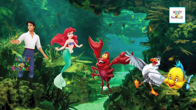 Scooby Doo Finger Family Collection Scooby Doo Cartoon animation Finger Family Songs Nurse