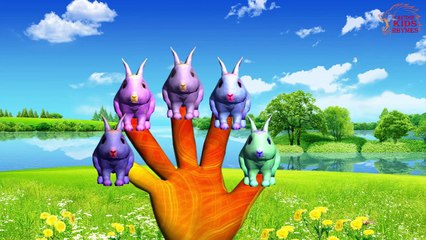 Rabbit Finger Family | Nursery Rhymes Farmees | Children Songs | Baby Rhymes | Kids Videos