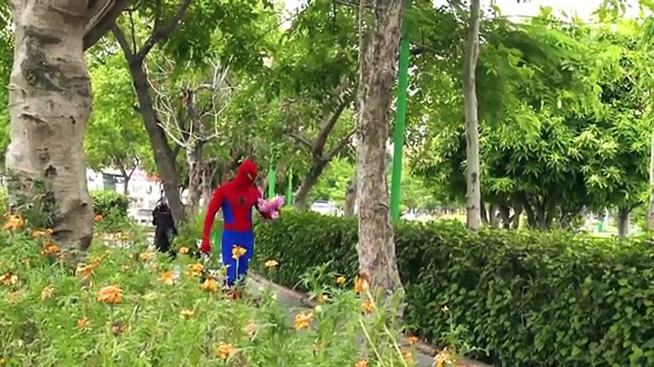 MALO BEBÉ BATMAN ZOMBIE VS SPIDERMAN ZOMBIE VS ELSA VS SUPERMAN⎜Bebé Niño pequeño Vídeo de la Familia⎜Z