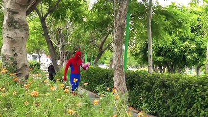 MALO BEBÉ BATMAN ZOMBIE VS SPIDERMAN ZOMBIE VS ELSA VS SUPERMAN⎜Bebé Niño pequeño Vídeo de la Familia⎜Z