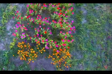 Олег Скрипка - Україна (ПРЕМ'ЄРА)