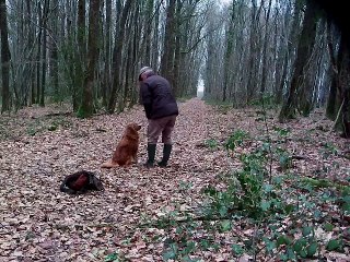 4 marking dans le bois lors d'une map