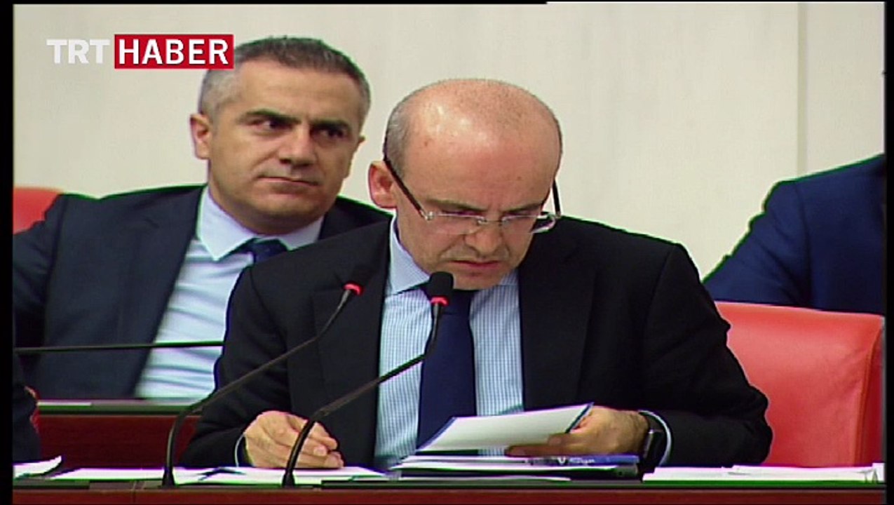 Başbakan Yardımcısı Mehmet Şimşek'den madeni para açıklaması