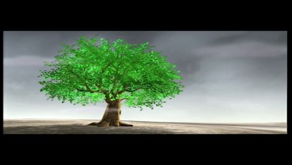 [Animation Movie] Phim Hoạt Hình 3D - Lá Cây Và Lông Vũ [HD]