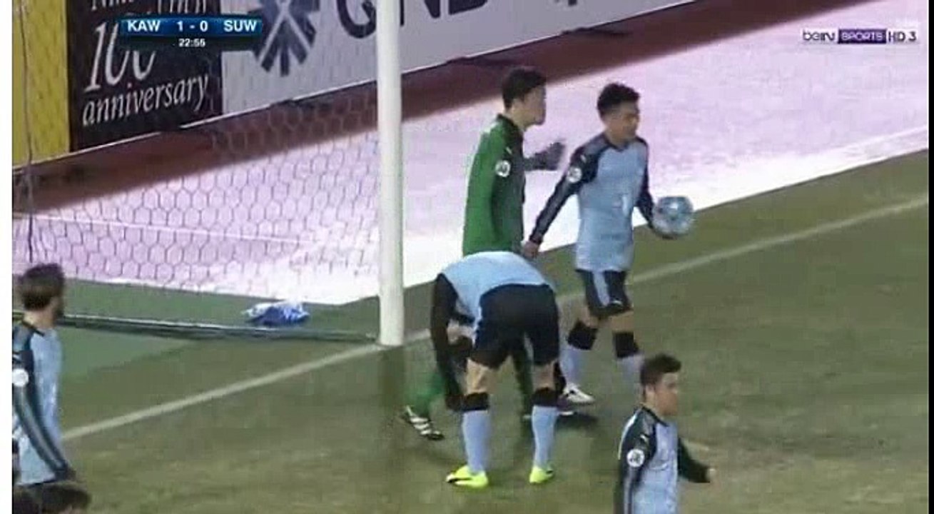 Funny Own Goal Shogo Taniguchi Own Goal HD - Kawasaki (Jpn) 1-1 Suwon (Kor) 21.02.2017