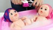 Twins Baby Dolls Pelones Triplets Baby Dolls Bathtime and Lunch Time How to Bath Babies To