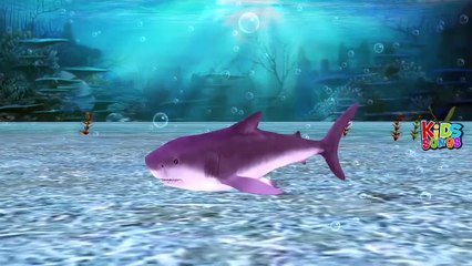 The Finger Family + More Nursery Rhymes For Babies - Baby shark Song - Kids Songs Collecti