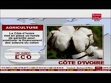 Business 24  Flash Eco Cote d'Ivoire Agriculture La Cote d'Ivoire ment en place un fons de garantie