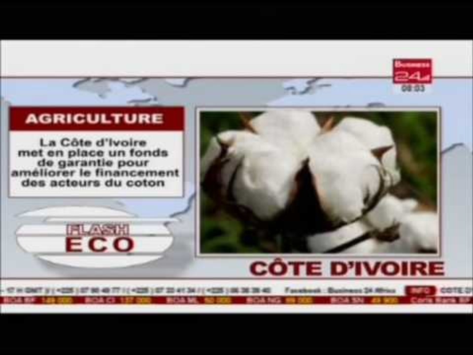 Business 24  Flash Eco Cote d'Ivoire Agricultur...