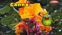 3D Rimas Colección | 30 canciones infantiles de la Colección | Flor de Rimas de Compilación | Rimas L