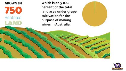 Tempranillo Wines and Grape Australia