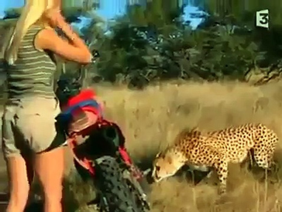LADY Tarzon and many Lions