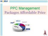 PPC Management Packages Affordable Price - Seorely