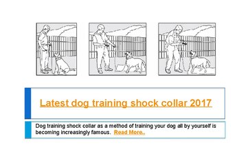 Latest dog training shock collar 2017