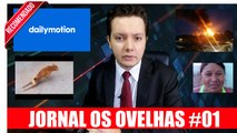 Dailymotion, Cachorro golpista, Agressão a impressora - JORNAL DOS OVELHAS #01